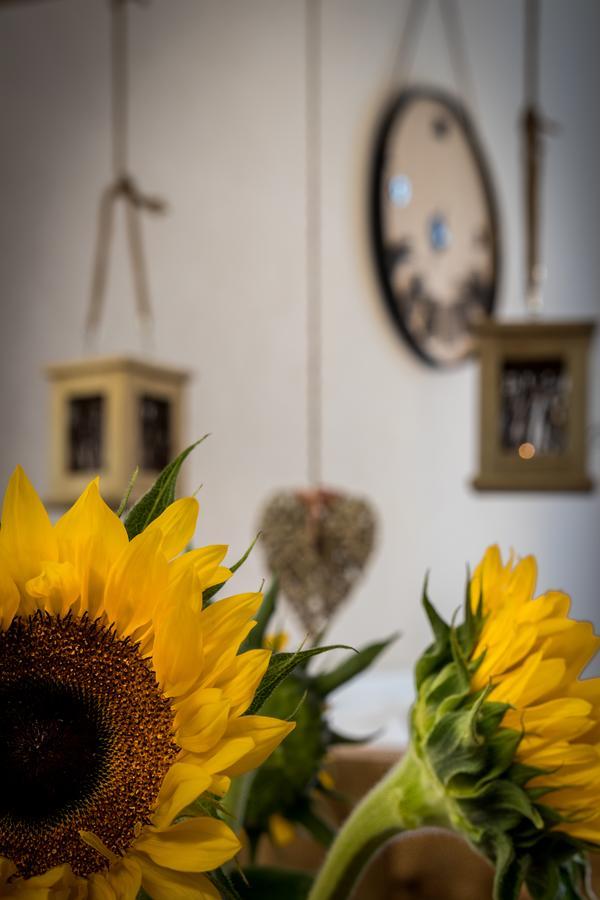 Cracow Best Location Apartment By Cozyplace Krasków Eksteriør bilde